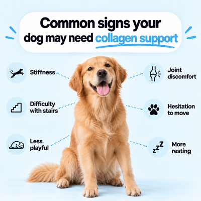 VetaPaw® Collagen Drops