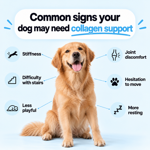 VetaPaw® Collagen Drops