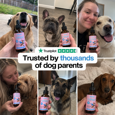 VetaPaw® Collagen Drops
