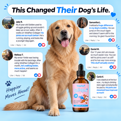 VetaPaw® Collagen Drops